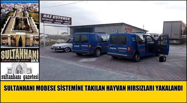 SULTANHANI MOBESE SİSTEMİNE TAKILAN HAYVAN HIRSIZLARI YAKALANDI