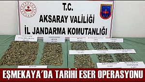 EŞMEKAYA KASABASINDA TARİHİ ESER OPERASYONU 3 KİŞİ YAKALANDI