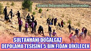 SULTANHANI BOTAŞ DOĞALGAZ DEPOLAMA TESİSİNE 5 BİN FİDAN DİKİLECEK