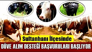 SULTANHANINDA DÜVE ALIM DESTEĞİ BAŞVURULARI BAŞLADI