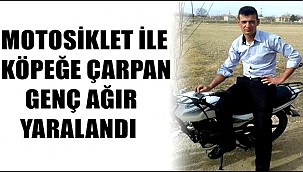 ESKİL'DE MOTOSİKLET İLE KÖPEĞE ÇARPAN GENÇ AĞIR YARALANDI