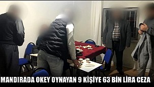 MANDIRADA OKEY OYNAYAN 9 KİŞİYE 63 BİN LİRA CEZA YAZILDI