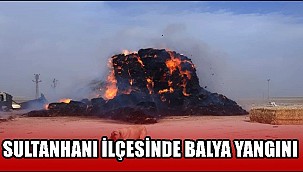 SULTANHANI İLÇESİNDE BALYA YANGINI