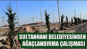 SULTANHANI BELEDİYESİNDEN AĞAÇLANDIRMA ÇALIŞMASI