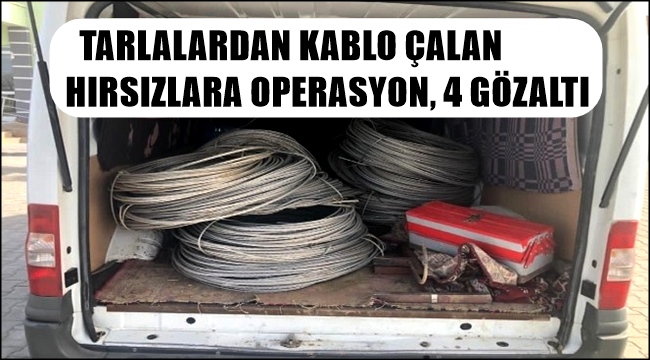 TARLALARDAN KABLO ÇALAN HIRSIZLARA OPERASYON 4 GÖZALTI