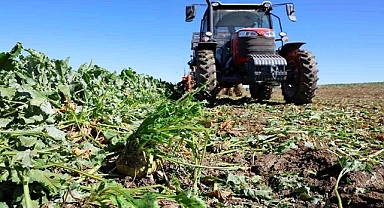 ŞEKER PANCARI TOHUMUNDA DIŞA BAĞIMLILIĞI BİTİRECEK HAMLE