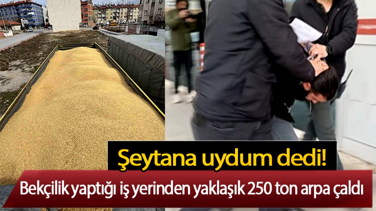 Konya'da bir kişi çalıştığı iş yerin 250 ton Arpa çaldı