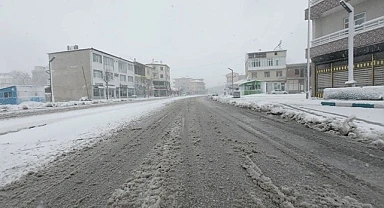 Sultanhanı'nda Kar Manzarasında Gezinti